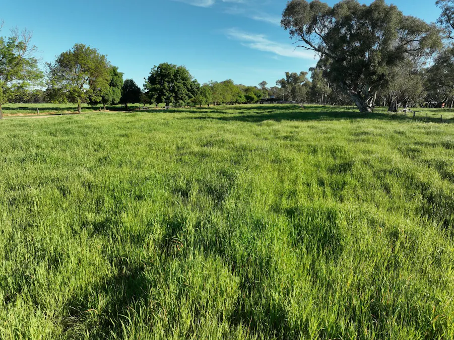 547 Culcairn Holbrook Road, Holbrook, NSW, 2644 - Image 24