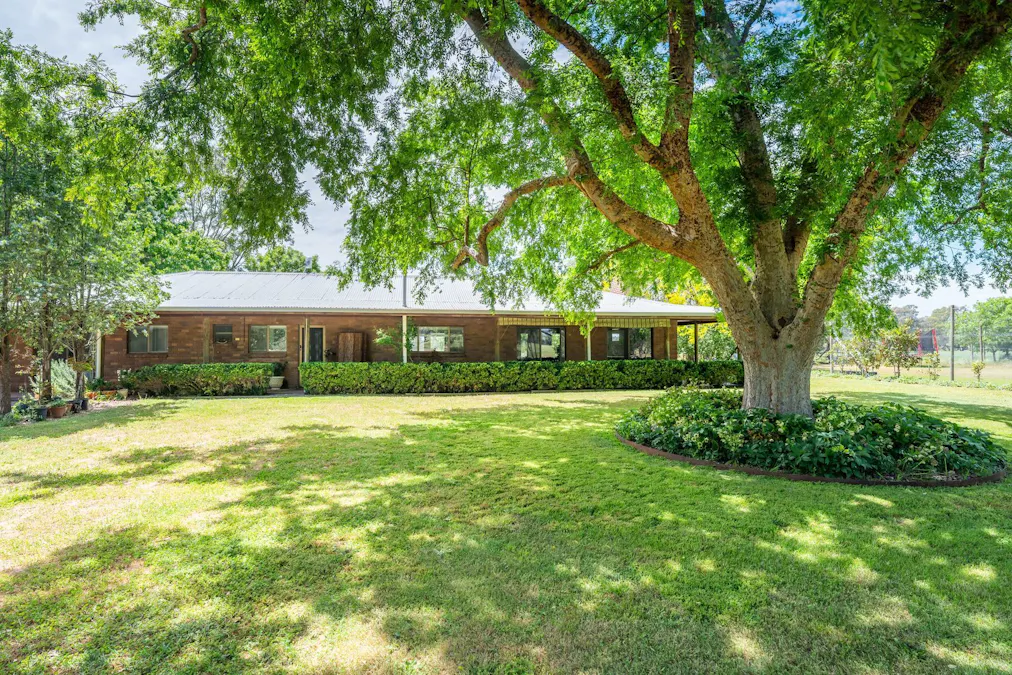 547 Culcairn Holbrook Road, Holbrook, NSW, 2644 - Image 15
