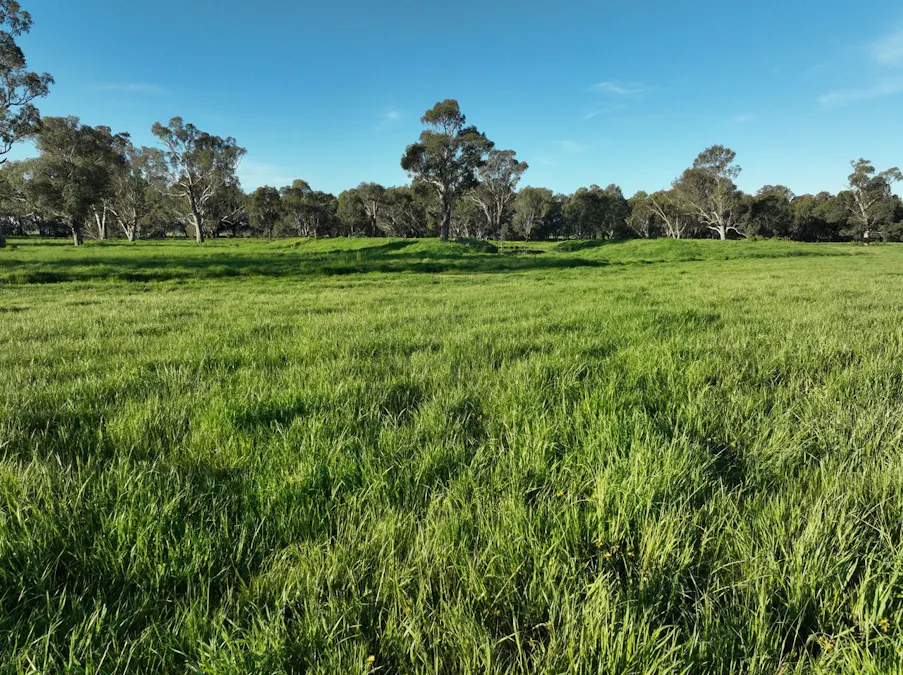 547 Culcairn Holbrook Road, Holbrook, NSW, 2644 - Image 25