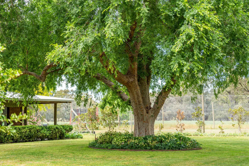 547 Culcairn Holbrook Road, Holbrook, NSW, 2644 - Image 16