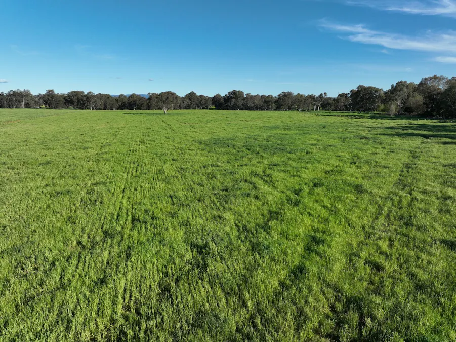 547 Culcairn Holbrook Road, Holbrook, NSW, 2644 - Image 26