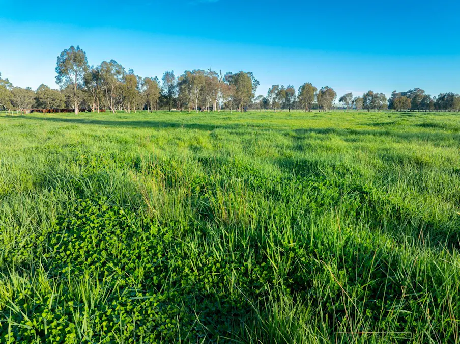 547 Culcairn Holbrook Road, Holbrook, NSW, 2644 - Image 27