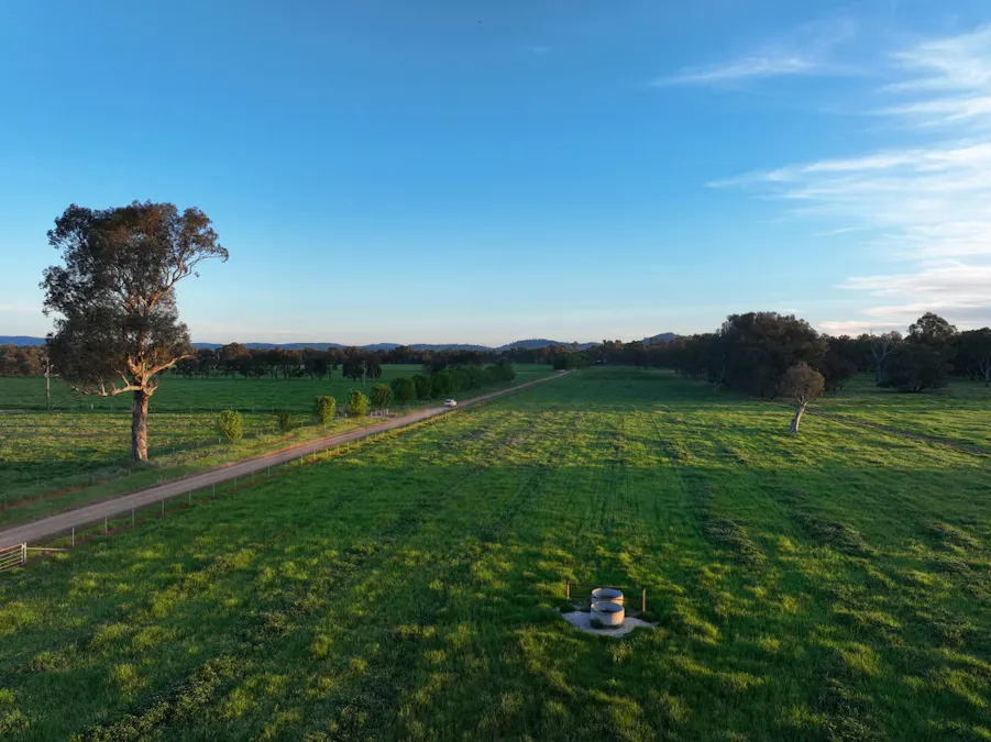 547 Culcairn Holbrook Road, Holbrook, NSW, 2644 - Image 4