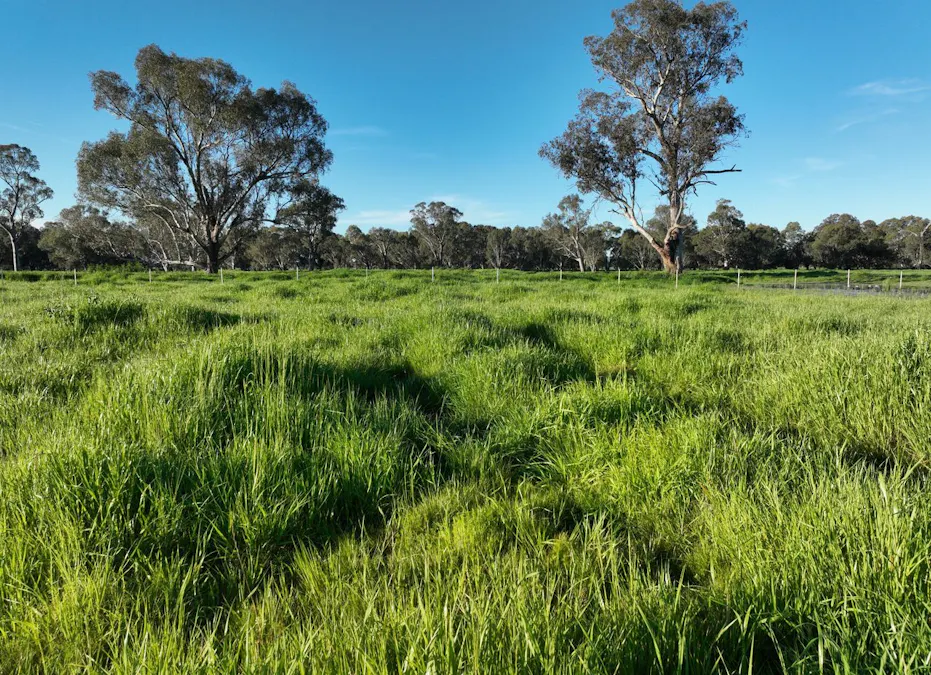 547 Culcairn Holbrook Road, Holbrook, NSW, 2644 - Image 28