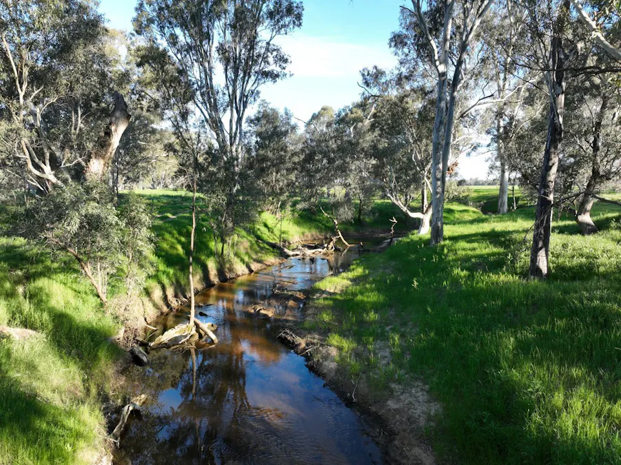 547 Culcairn Holbrook Road, Holbrook, NSW, 2644 - Image 20