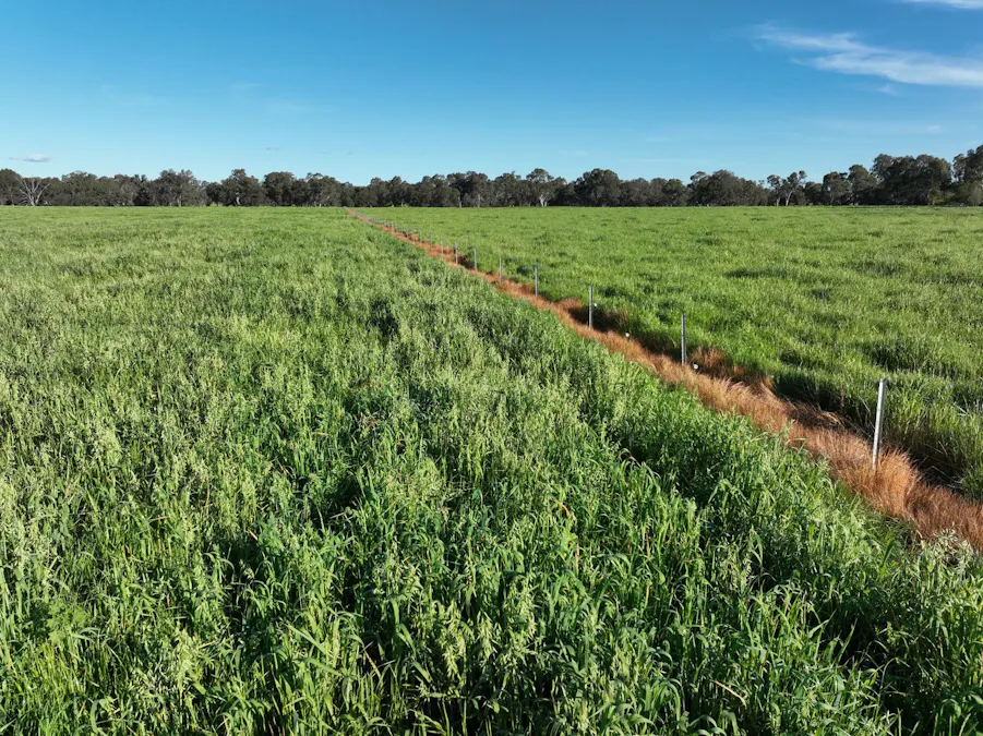 547 Culcairn Holbrook Road, Holbrook, NSW, 2644 - Image 30
