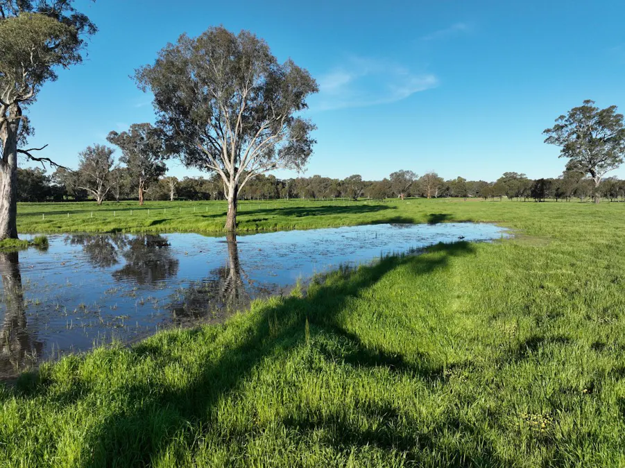547 Culcairn Holbrook Road, Holbrook, NSW, 2644 - Image 21