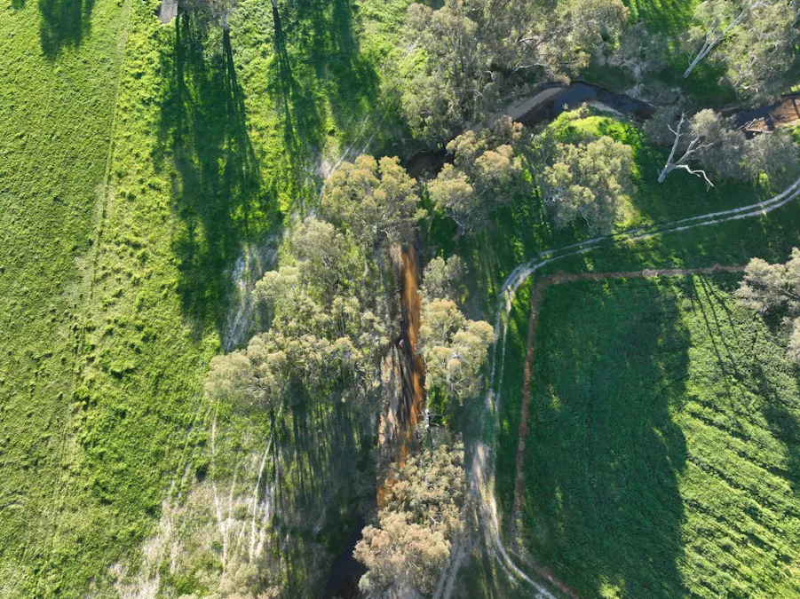 547 Culcairn Holbrook Road, Holbrook, NSW, 2644 - Image 31