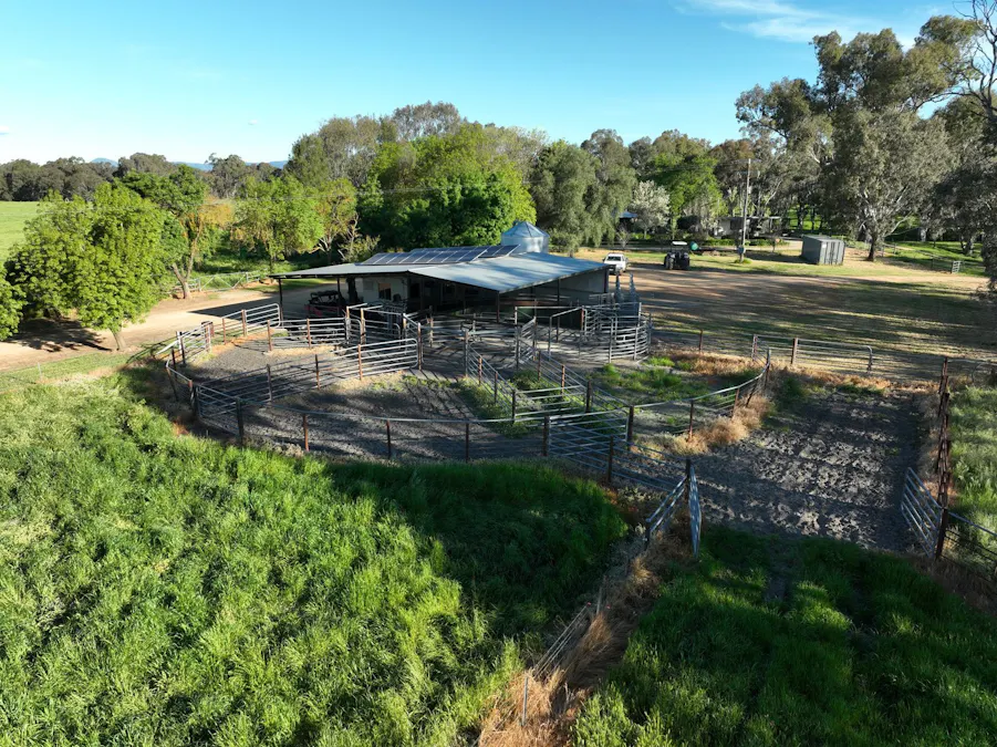547 Culcairn Holbrook Road, Holbrook, NSW, 2644 - Image 22