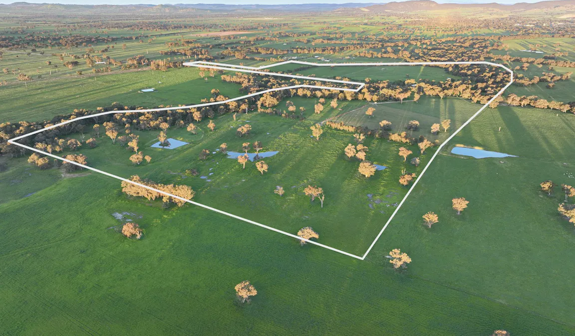 547 Culcairn Holbrook Road, Holbrook, NSW, 2644 - Image 1