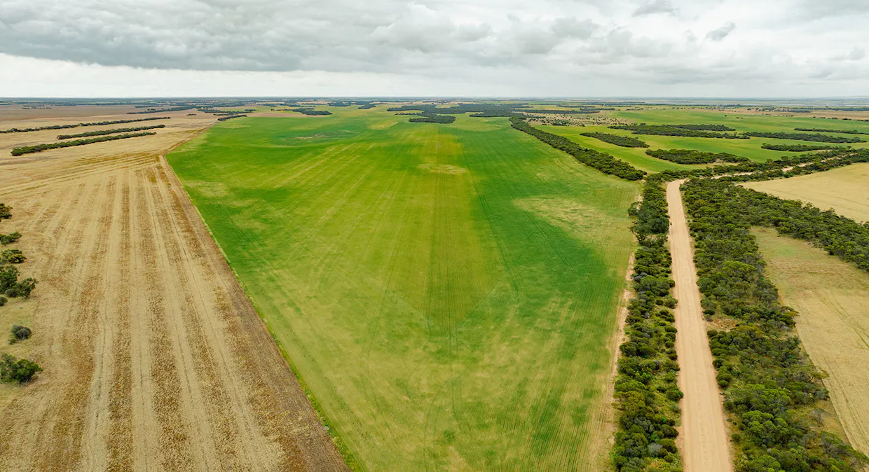 Port Kenny Road, Yaninee, SA, 5653 - Image 1