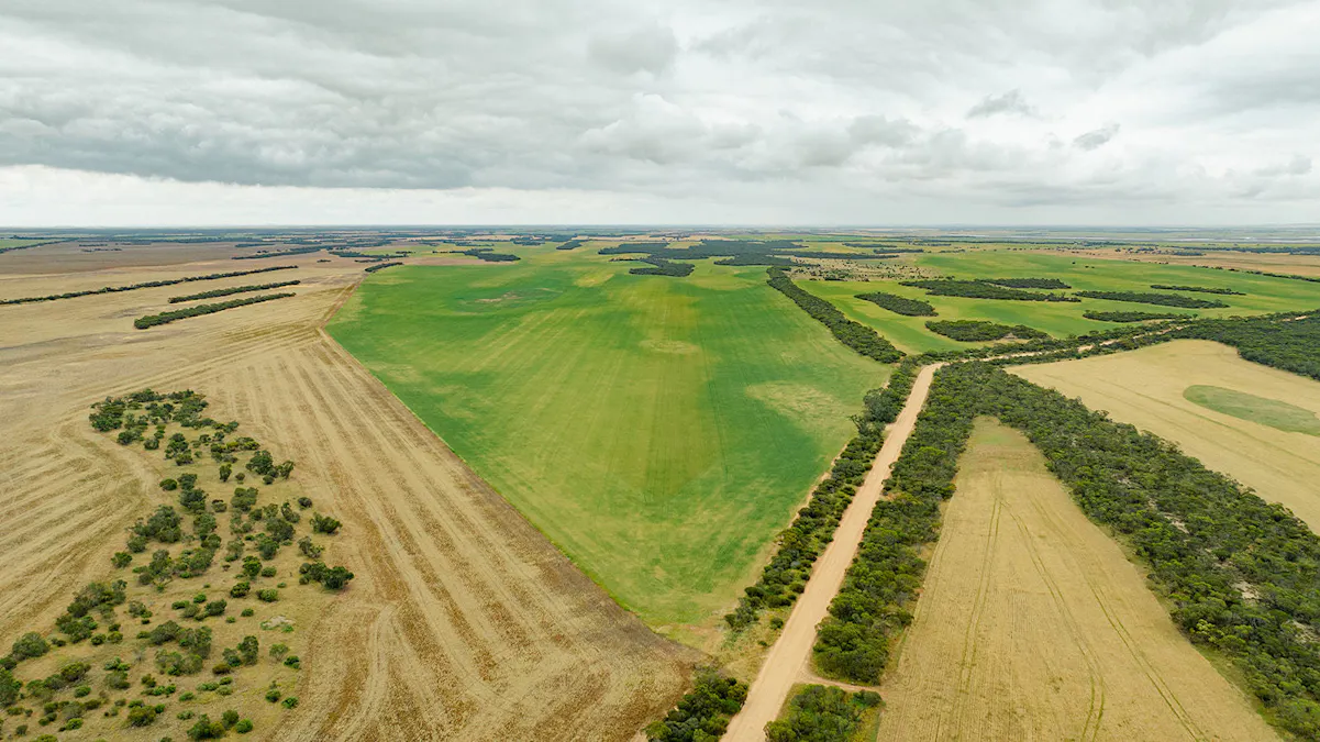 Port Kenny Road, Yaninee, SA, 5653 - Image 10