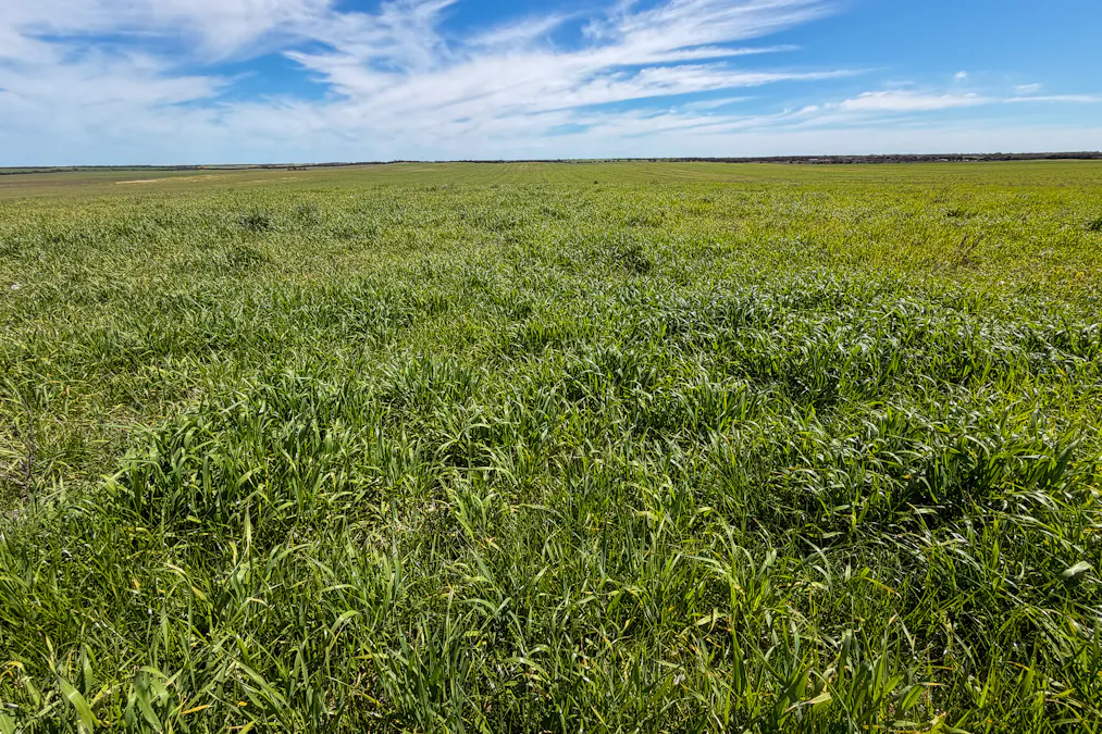 Lot 44 Birdseye Highway, Murlong, SA, 5642 - Image 12