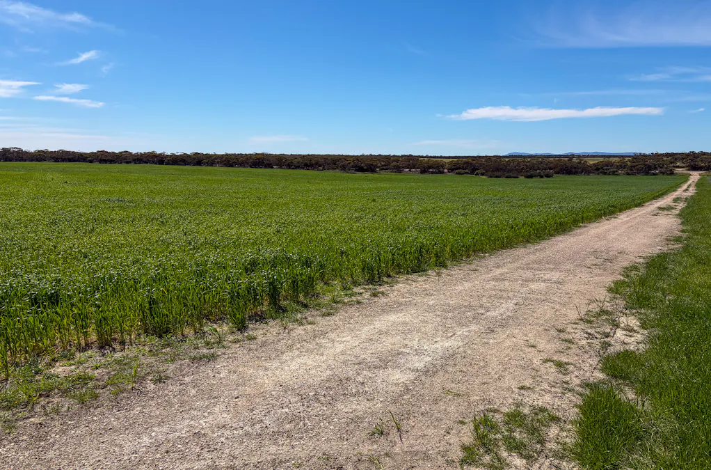 Lot 44 Birdseye Highway, Murlong, SA, 5642 - Image 11