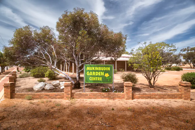 53 Shadbolt Street, Mukinbudin, WA, 6479