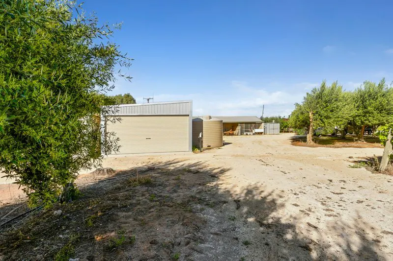 181 Lower Winkie Road — photo 12 of 15