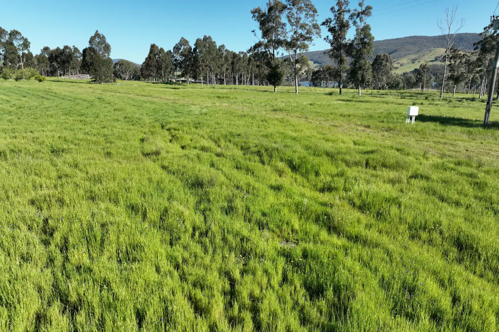 2312 Wymah Road, Wymah, NSW, 2640 - Image 16