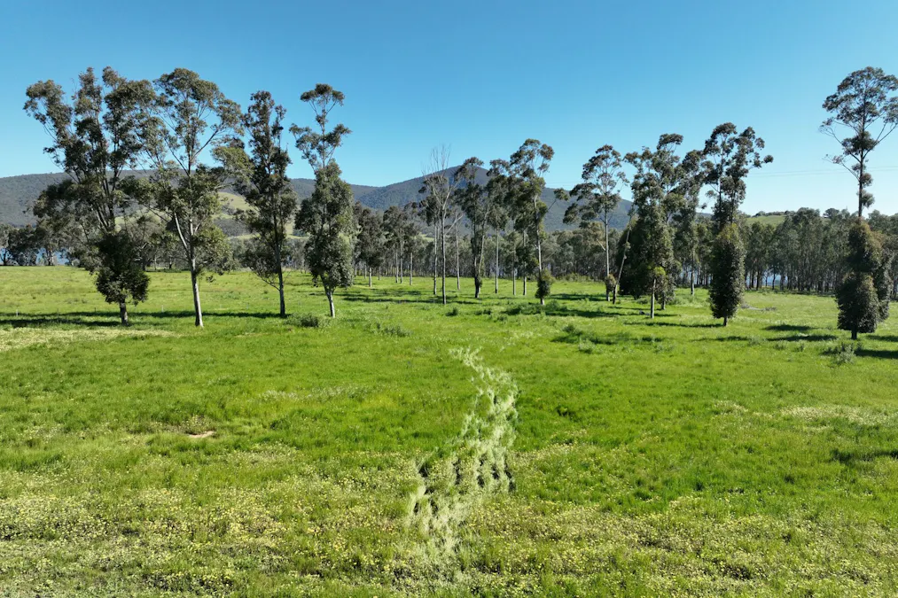 2312 Wymah Road, Wymah, NSW, 2640 - Image 21