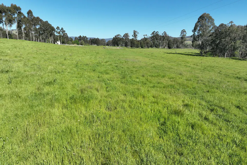 2312 Wymah Road, Wymah, NSW, 2640 - Image 18