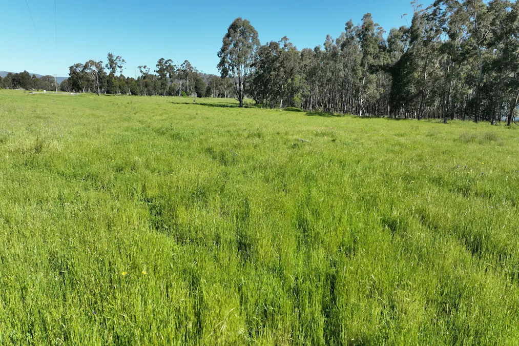 2312 Wymah Road, Wymah, NSW, 2640 - Image 22