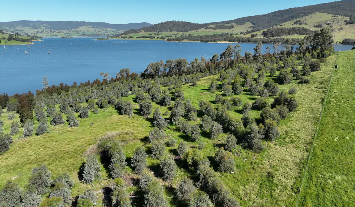 2312 Wymah Road, Wymah, NSW, 2640 - Image 3