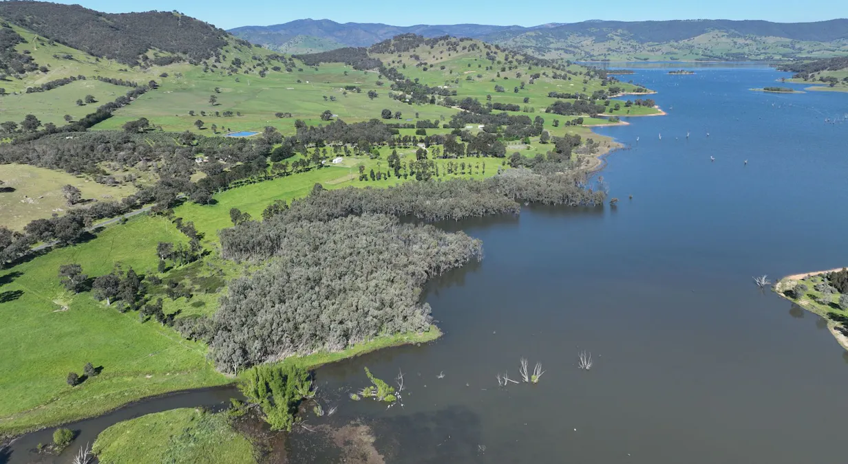 2312 Wymah Road, Wymah, NSW, 2640 - Image 6