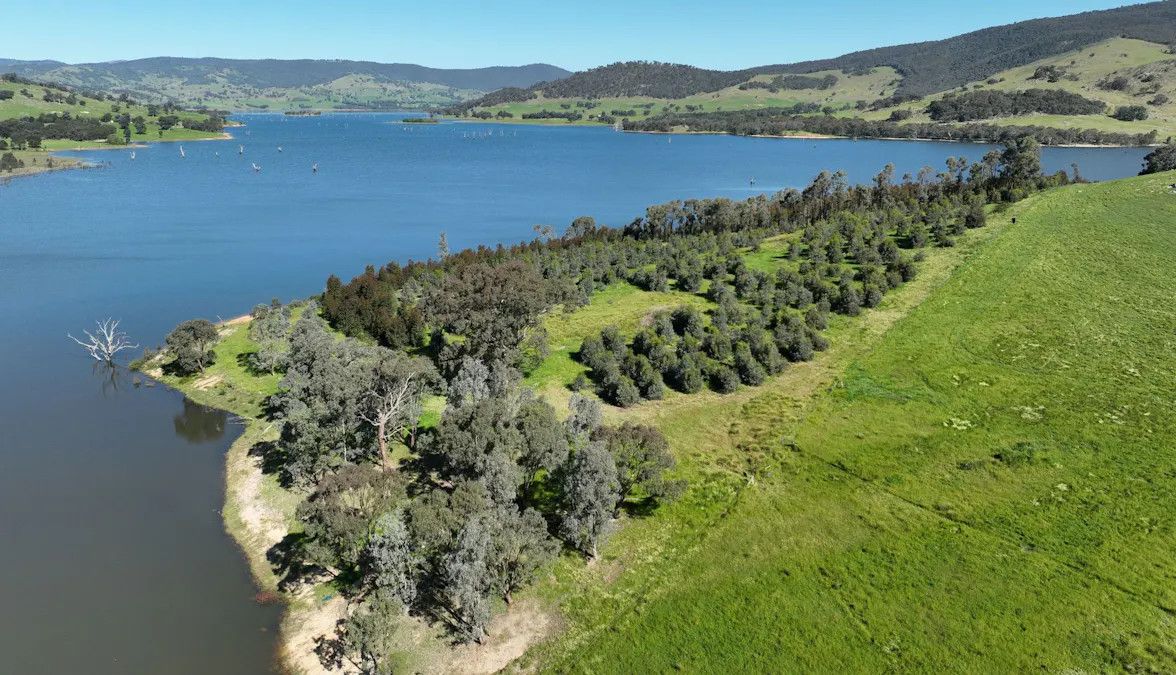 2312 Wymah Road, Wymah, NSW, 2640 - Image 2