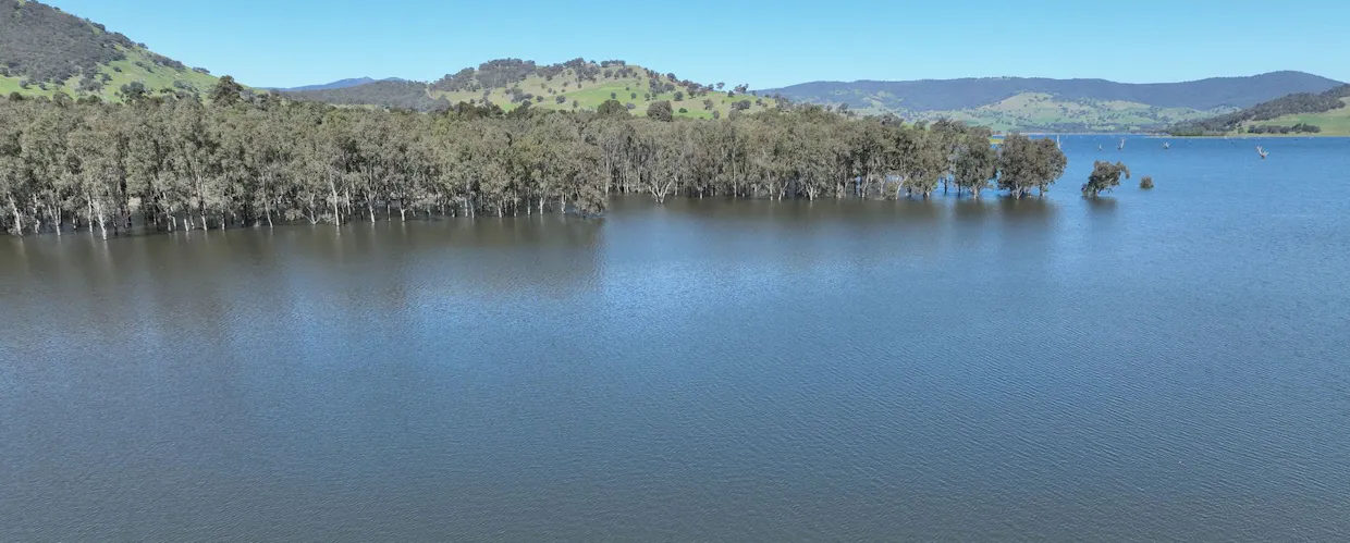 2312 Wymah Road, Wymah, NSW, 2640 - Image 7