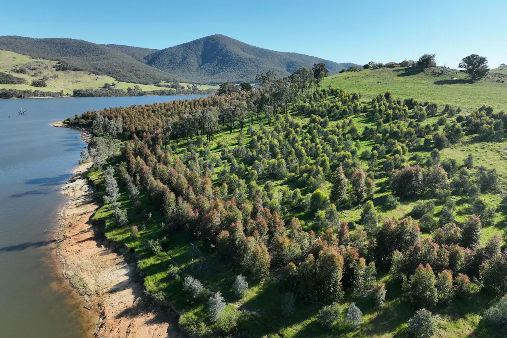 2312 Wymah Road, Wymah, NSW, 2640 - Image 4