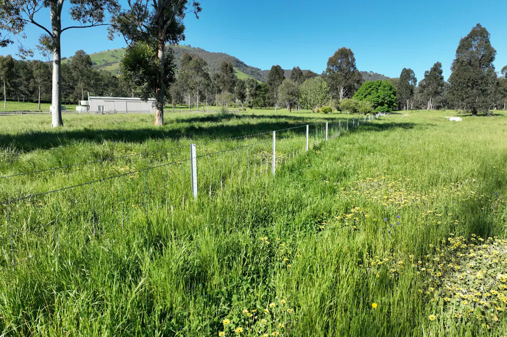 2312 Wymah Road, Wymah, NSW, 2640 - Image 19