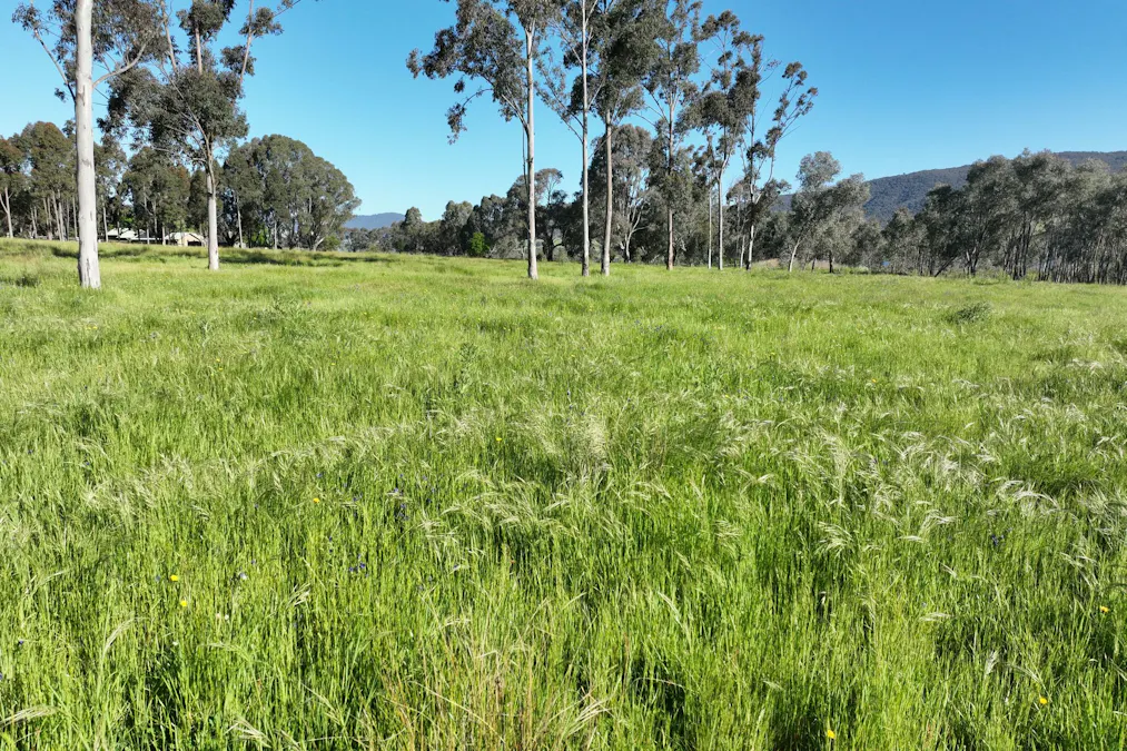 2312 Wymah Road, Wymah, NSW, 2640 - Image 20