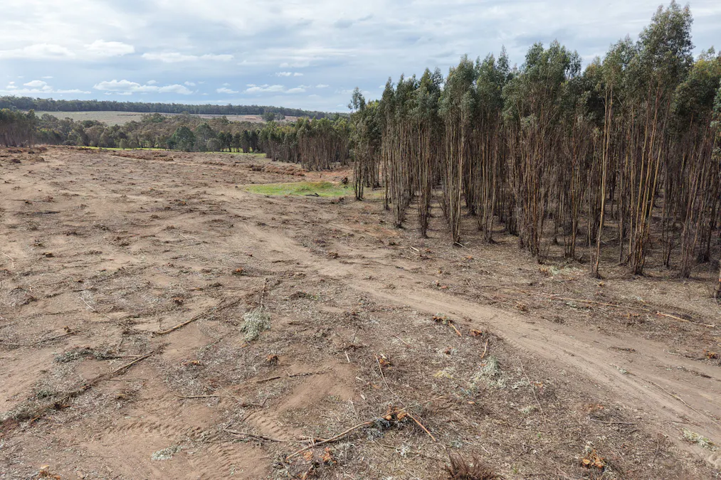 Part of Lo Butler Road, Kingston, WA, 6256 - Image 6