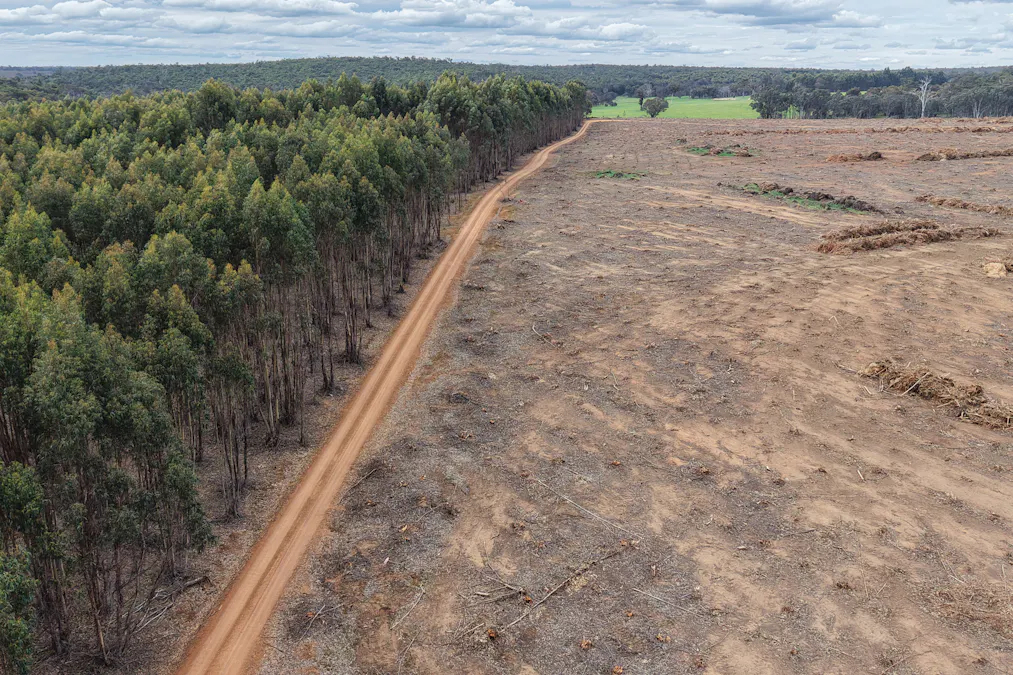 Part of Lo Butler Road, Kingston, WA, 6256 - Image 4