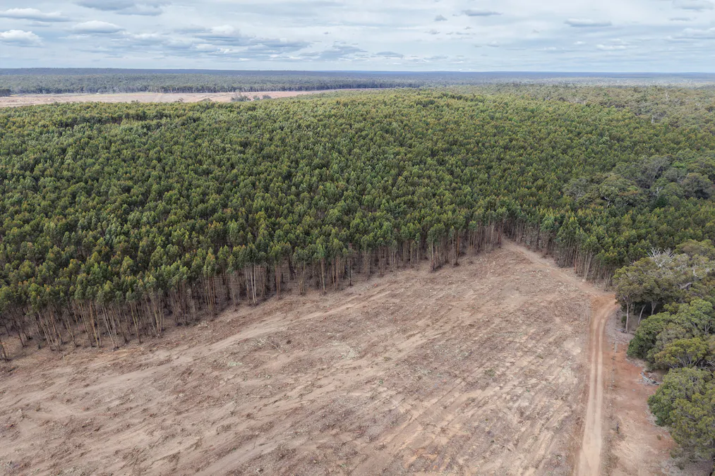 Part of Lo Butler Road, Kingston, WA, 6256 - Image 5