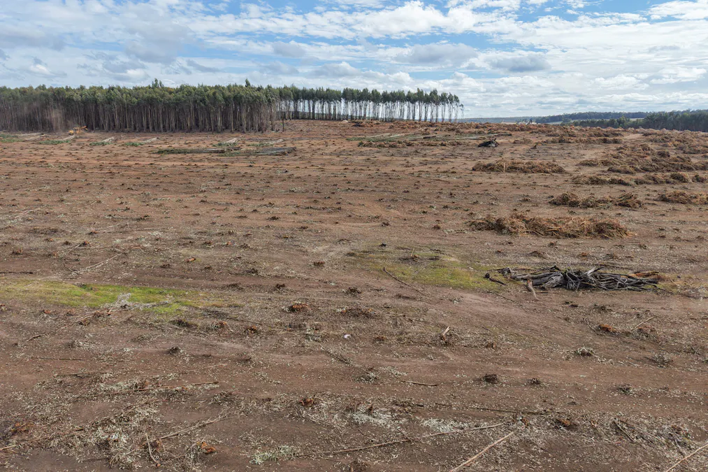 Part of Lo Butler Road, Kingston, WA, 6256 - Image 7