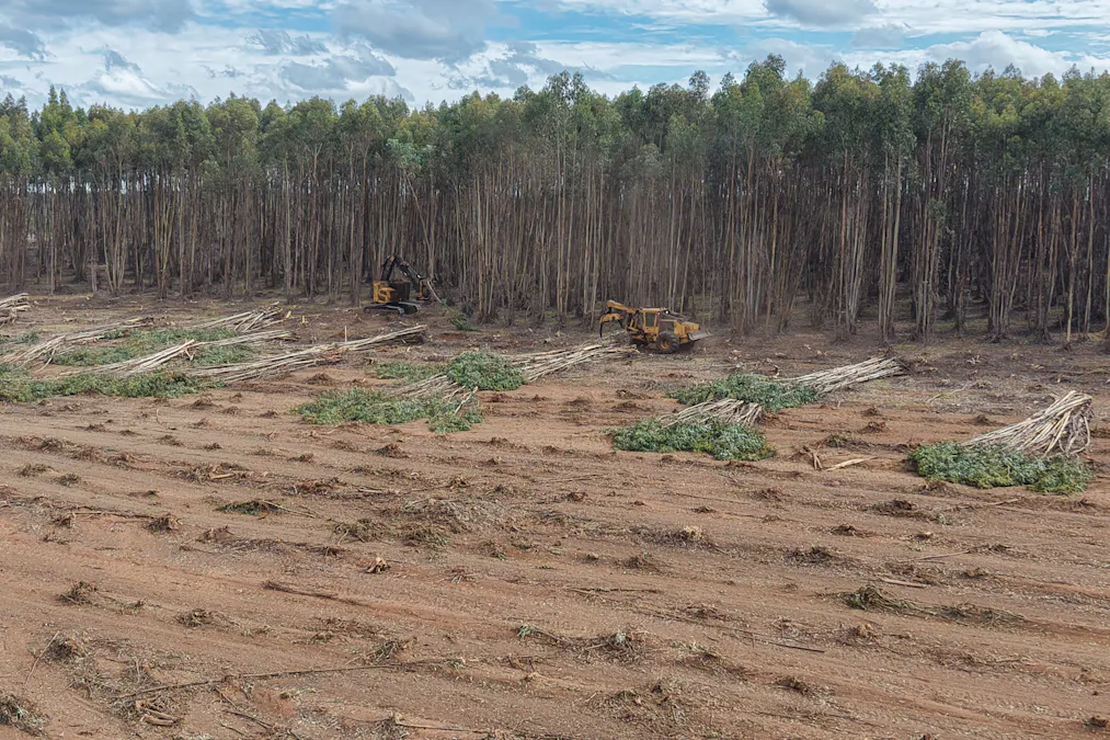 Part of Lo Butler Road, Kingston, WA, 6256 - Image 3