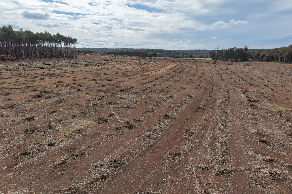 Part of Lo Butler Road, Kingston, WA, 6256 - Image 8