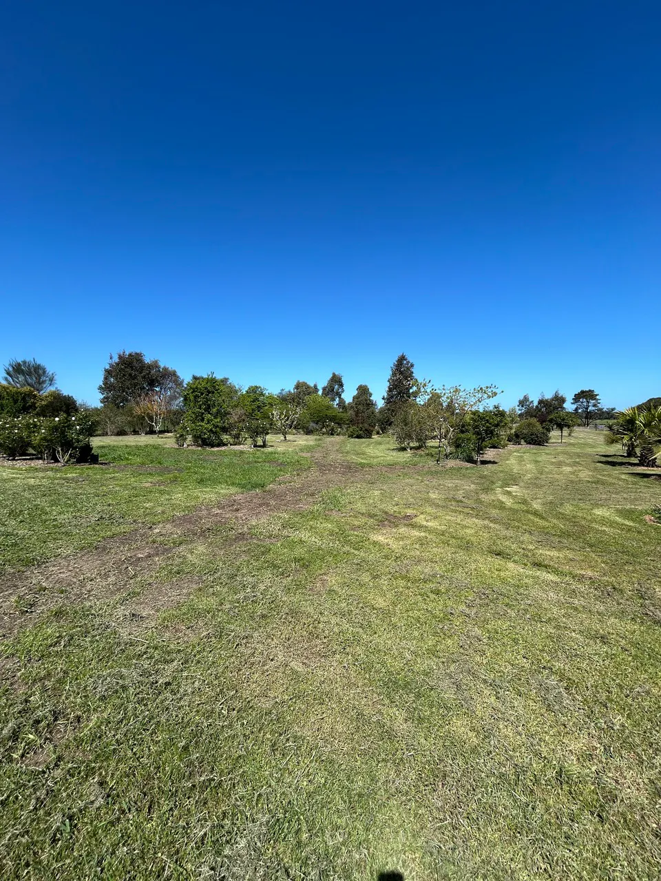 7540 Glenelg Highway — photo 14 of 17