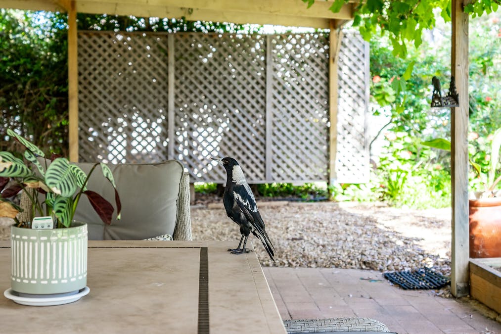 26 PALMER Street, Aldinga Beach, SA, 5173 - Image 24