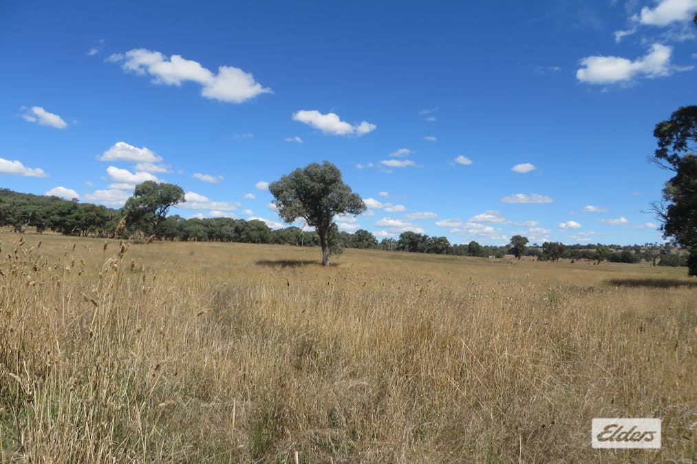 1,2,3/Gunning Road, Dalton, NSW, 2581 - Image 11