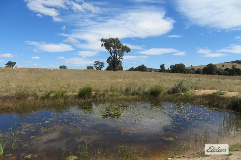1,2,3/Gunning Road, Dalton, NSW, 2581 - Image 16