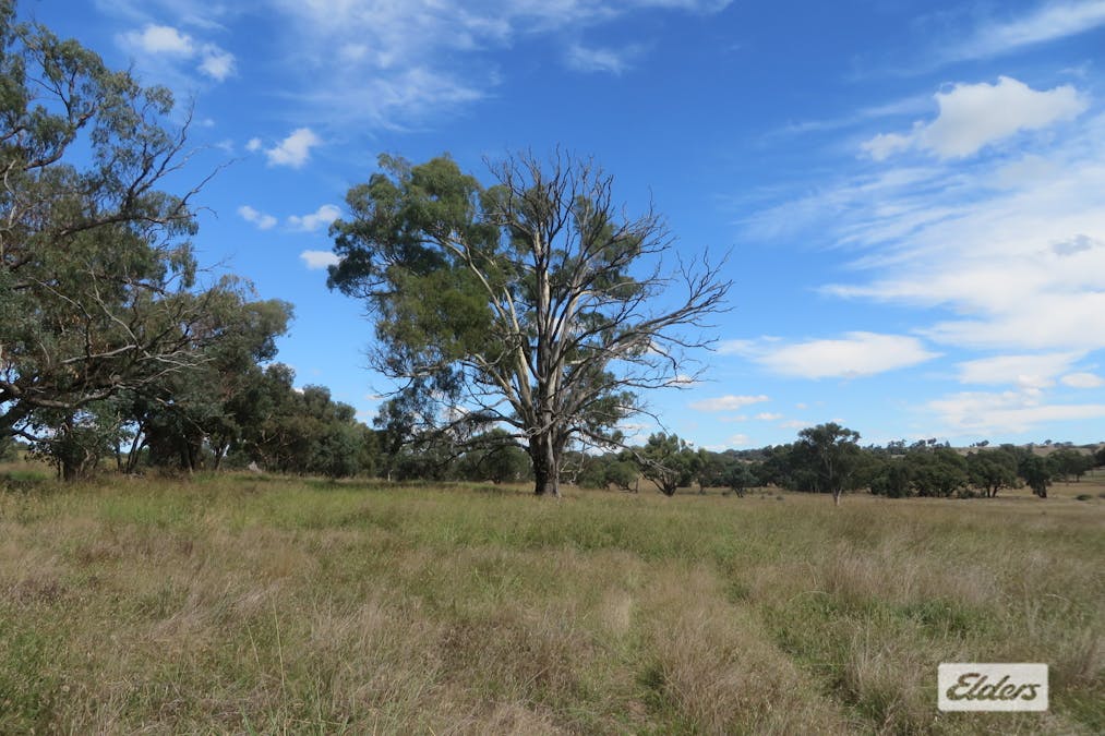 1,2,3/Gunning Road, Dalton, NSW, 2581 - Image 13