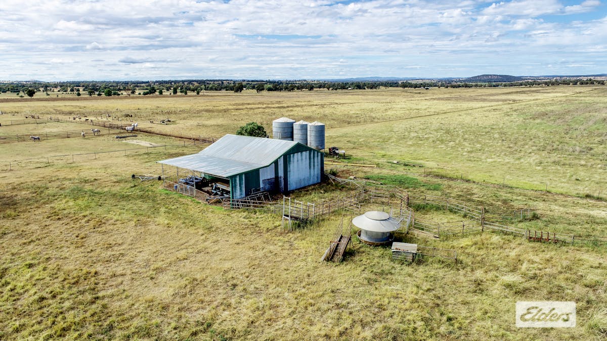 100R Old Dubbo Road, Dubbo, NSW, 2830 - Image 13