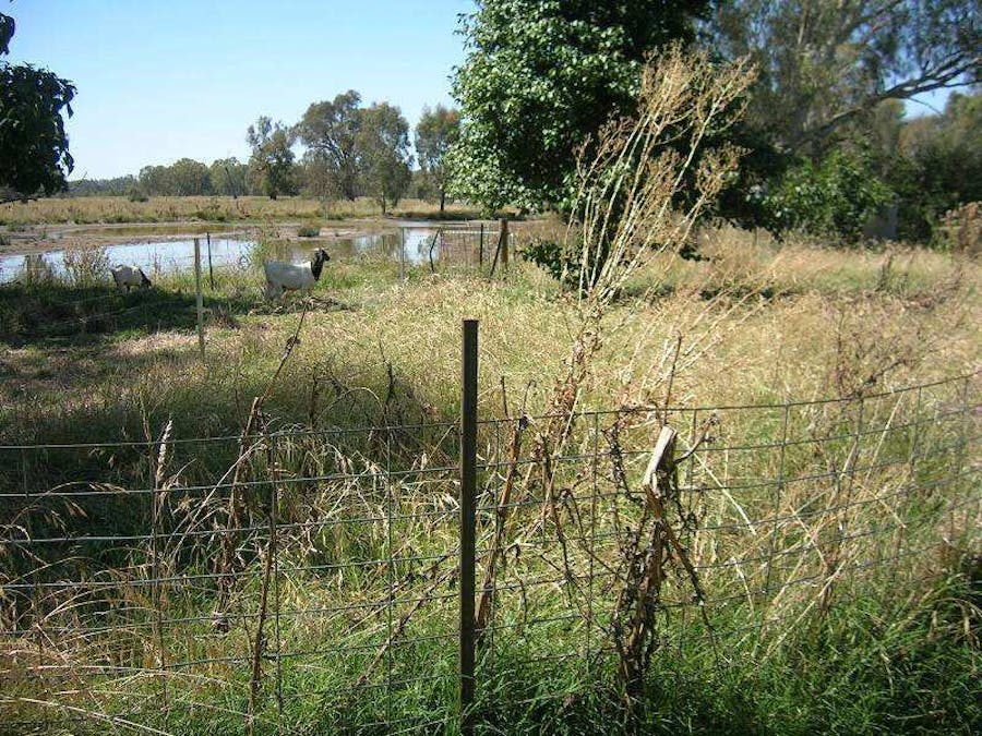 86 Markwood-Tarrawingee Road, Markwood, VIC, 3678 - Image 14