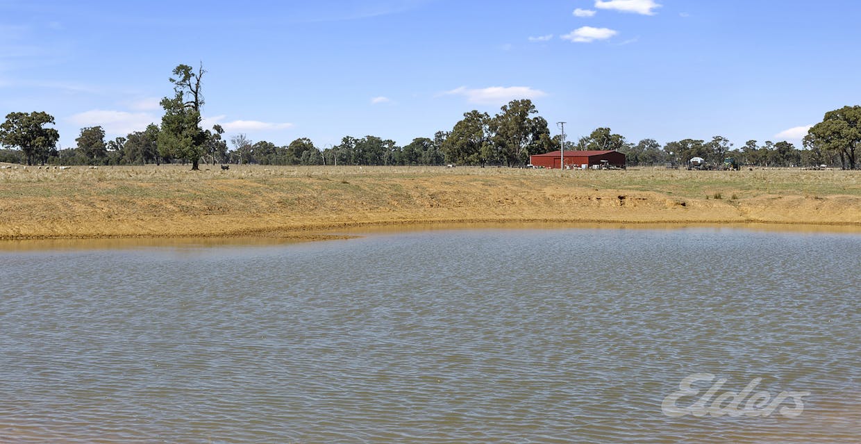 Cnr Kings Road Federation Way, Rutherglen, VIC, 3685 - Image 4