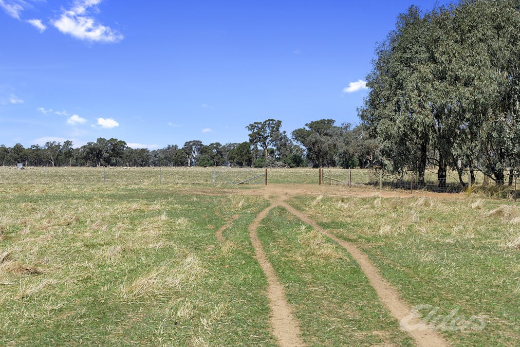 Cnr Kings Road Federation Way, Rutherglen, VIC, 3685 - Image 5