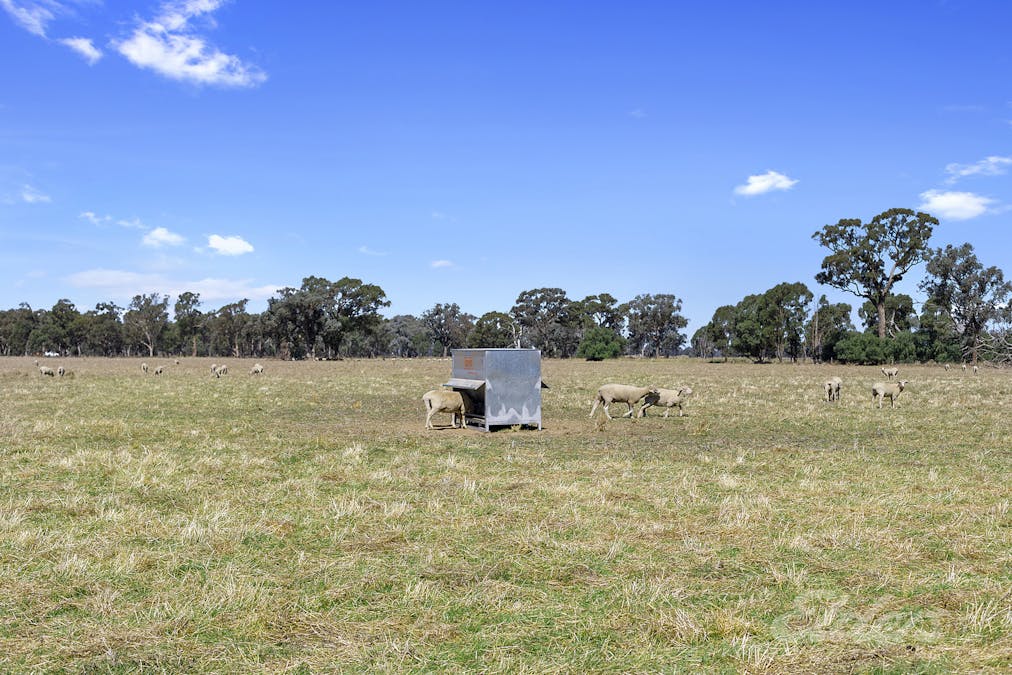 Cnr Kings Road Federation Way, Rutherglen, VIC, 3685 - Image 6