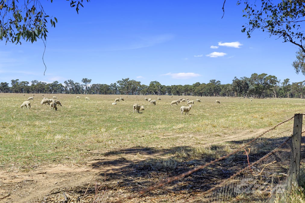 Cnr Kings Road Federation Way, Rutherglen, VIC, 3685 - Image 7