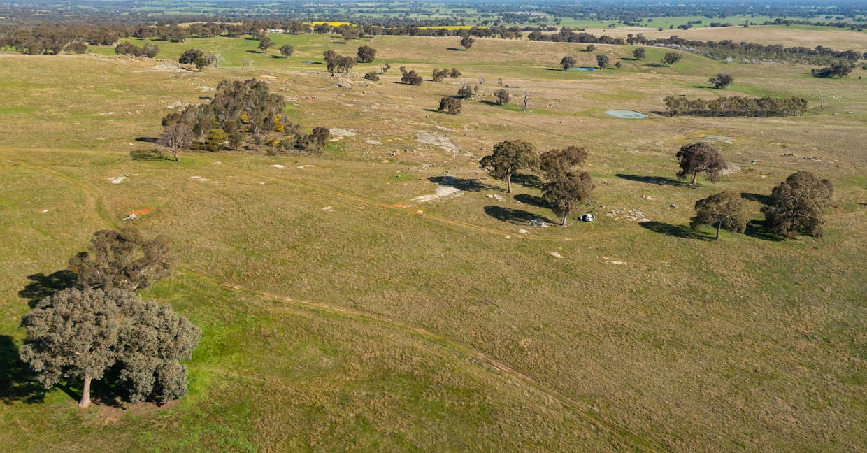 . Cemetery Road, Eldorado, VIC, 3746 - Image 13