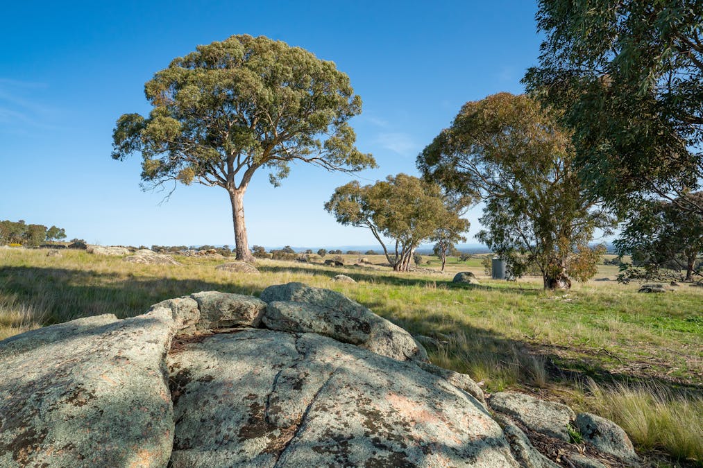 . Cemetery Road, Eldorado, VIC, 3746 - Image 20